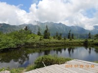 両神山・武甲山を望むロウバイの名所「宝登山」へ‼