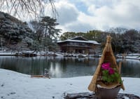 徳川園冬牡丹と雪景色