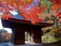 泊り忘年会の最終日、普門寺 ～紅葉と文化遺産～、二川宿ハイキング