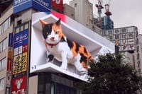 新宿駅の巨大猫