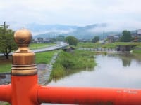 郷里の雲海、堰、擬宝珠　喜多良川、長野県小海町で見たアサギマダラ、ウイーンのカフェ