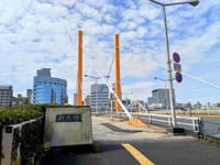 隅田川の橋、新大橋