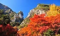 昇仙峡ドライブ★紅葉狩り＆石和温泉