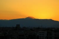 写真３枚は、夕暮れの富士山、ワカケホンセイインコ、マンションの屋上に日の出
