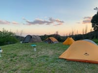 キャンプ体験