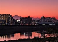 二子玉川駅から夕暮れを撮る、浄真寺の紅葉、慶応大学の銀杏並木