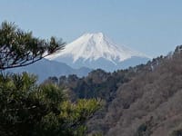 富士眺望へ「御前山～菊花山」ハイキング