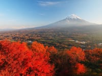 THE紅葉・富士山紅葉だらけツーリング（原付2OK）