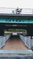 仙台堀川公園の橋、豊住橋下の名無し橋2本と萩（橋）