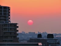 写真３枚は、久本山から日の出を撮る、ミツマタ　鎌倉にて、モクレン　高津区にて