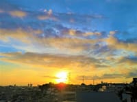 今朝の写真３枚・・井田山から日の出を撮る、日の出前の空、アメリカデイゴ