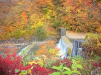 秋の八幡平、熊本県の大畑（おこば）駅　肥薩線、秋の赤芝峡と米坂線