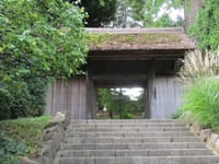 神社を歩く松戸散策を行います。