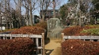 ゆるり日記 R4 美登利寿司ランチ＆羽根木公園観梅の集い ③（22.03.12)
