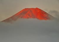 富士山撮影会のボランティア連絡網
