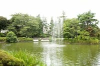 善福寺公園～井草川緑道～妙正寺公園