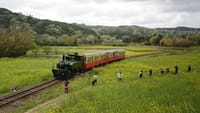 いすみ鉄道と小湊鐵道　ローカル線で春旅