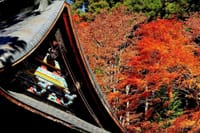 写真３枚は、早朝の富士山、三峰神社の紅葉です。