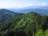 ☆初級コース　景信山から城山、高尾まで歩きましょう♪