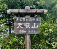 埼玉の誇る低山「天覧山」ハイキング！