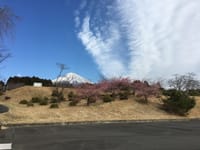 もうひとつの富士山