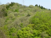 新緑の里山歩き「小佐波御前山･754ｍ」富山市大沢野町　5月3日（祝）