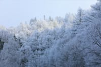 信州の冬の高原風景