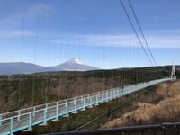 絶景！日本最長の吊り橋・三島スカイウォークへ！大自然の中をジップラインで疾走！(24.1/7)
