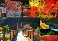 秋！秋！秋！稲武町大井平公園紅葉