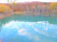 北海道美瑛町の青い池、龍台寺からの朝の空、ホテイアオイ