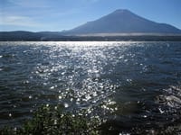 「秋晴れ、世界遺産、山中湖、富士山の写真を撮りに行く」