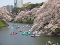 東京の春（３）