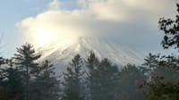 早朝の富士山と野鳥