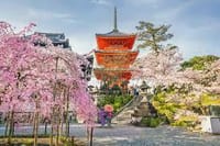 リーズナブルに、それでいて内容充実に楽しむ京都＆奈良の桜