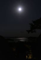 「西行戻しの松」の月　in 奥州松島
