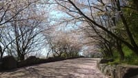 にぎやかな亀島山花と緑の丘公園