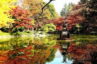 写真３枚は、日比谷公園の池、外苑の銀杏並木、六義園の紅葉