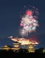 奈良 若草山山焼きが通常開催 1月28日 
