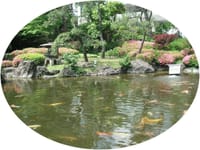 ねむの木の庭～池田山公園～八芳園　