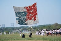 日本一の「相模の大凧まつり」を見に行きましょう!!