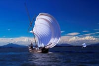 美しい白帆が風に舞う、雄大な霞ヶ浦の帆引き船