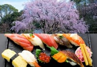 六義園の桜＆寿司食べ放題