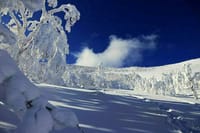 最北の北海道で厳冬の自然を楽しみましょう