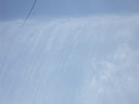 春近し　飛行機雲に羽毛が生えた？