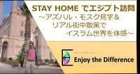 STAY HOMEでエジプト訪問