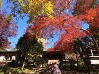 中止になりました！紅葉残る徳川義直の廟所の定光寺、自然休養林、殿様街道を歩きましょう！