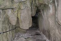 思い出の島・洞窟から謎の「古代人骨22体」