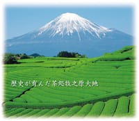 ｢富士山の見える茶園｣ハイキング＆茶カフェ『サングラム』で日本茶を楽しむ。
