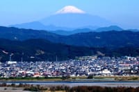 戦国史跡巡り16弾！諏訪原城と金谷の石畳＆富士山一望の茶の都ミュージアムを歩きましょう！
