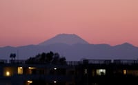 今日の写真３枚は、日没後の富士山、桜、アイリス（オランダアヤメ）